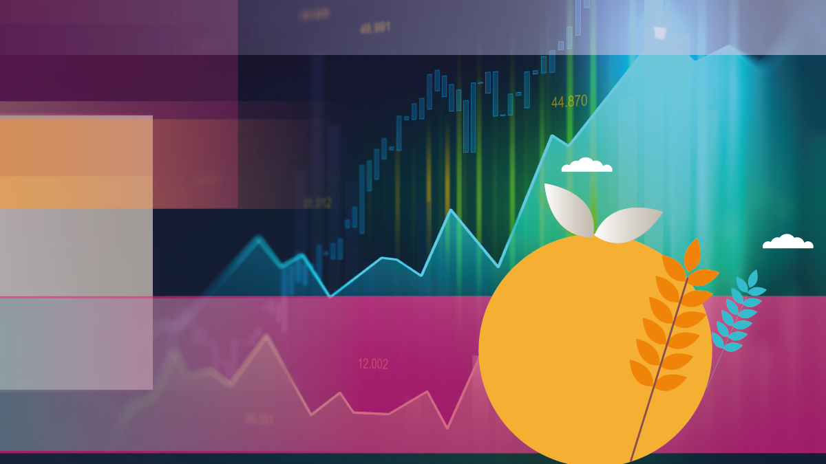 Financial Highlights