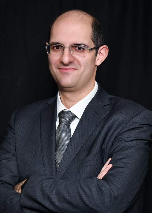 السيد محمود الشوا